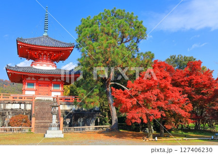 【京都府】快晴の大覚寺 心経宝塔と紅葉 【京都府】快晴の大覚寺 心経宝塔と紅葉 127406230