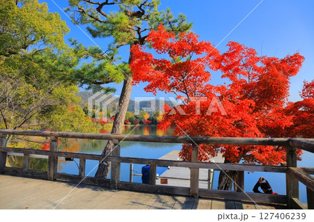 【京都府】シンメトリーな紅葉の大覚寺（大沢池） 127406239