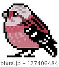 ドット絵 アニマルイラスト ベニマシコのオス 127406484