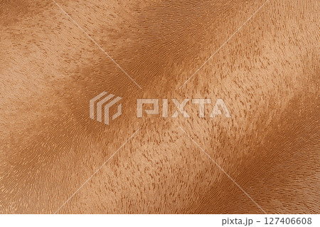 Brown leather background or texture 127406608