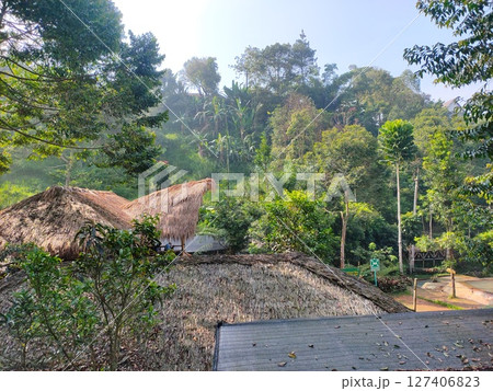 morning nature background with clear sky 127406823