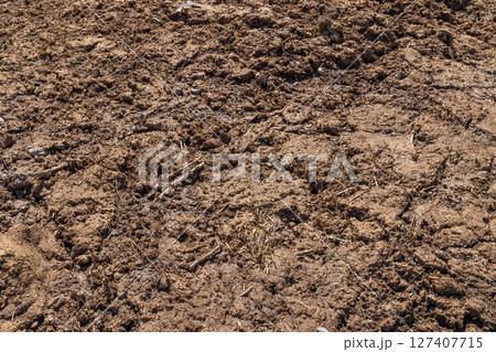 texture and full-frame background of natural manure texture and full-frame background of natural manure 127407715
