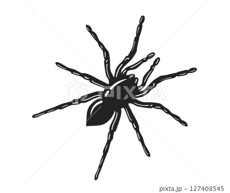 Stylized spider illustration. Black arachnid isolated on white. Halloween or naturethemed design element. Use for fear, horror, or pest concepts. 127408545