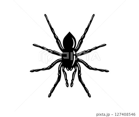 Striking black silhouette of a spider on a clean white background. Perfect for Halloween designs, insect illustrations, or symbolic representations. Bold, graphic style. 127408546