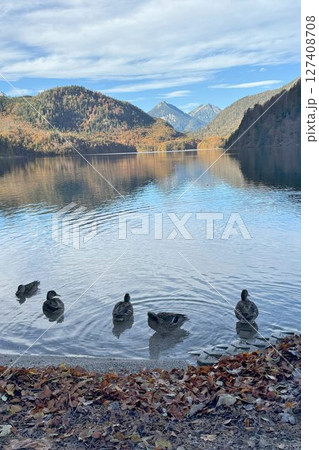 アルプ湖　ノイシュヴァンシュタイン城の麓　ドイツのバイエルン州、フュッセン近郊にある美しい湖 127408708