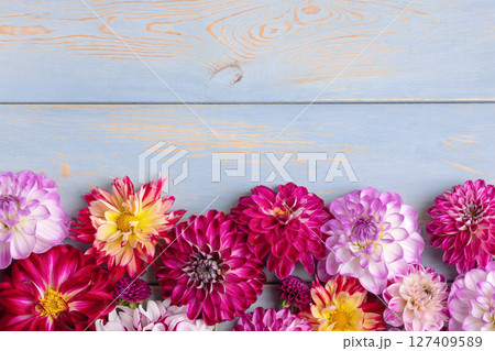 White, red, pink and purple dahlia flowers on blue wooden background with space for text. Summer romantic background. Flat lay. Nature concept 127409589
