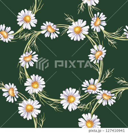 Seamless pattern with daisy wreaths on a dark green background. Watercolor illustration. Seamless background with white wildflowers gathered in a round wreath. A botanical summer template for Seamless pattern with daisy wreaths on a dark green background. Watercolor illustration. Seamless background with white wildflowers gathered in a round wreath. A botanical summer template for 127410941