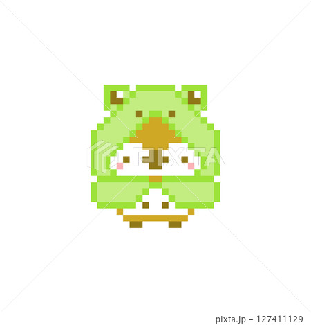 カエルのレインコートとシンプルフクロウのドット絵 カエルのレインコートとシンプルフクロウのドット絵 127411129
