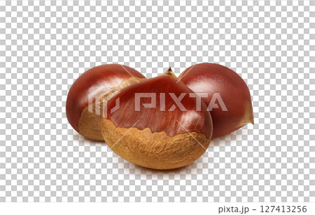 栗子插畫,逼真的日本栗子 栗子插畫,逼真的日本栗子 127413256