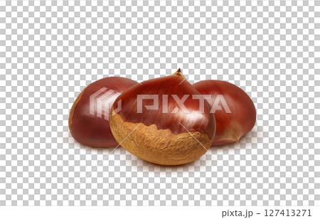 栗子插畫，逼真的日本栗子 127413271