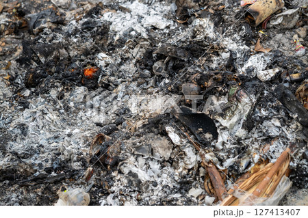 Fire debris clean-up in urban areas addressing environmental and waste management issues 127413407