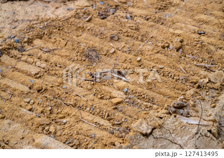 Earthy ground surface and site preparation for urban development and building foundations 127413495