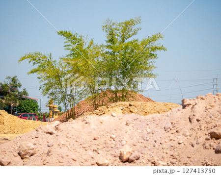 Construction site with bamboo growth urban environment nature clear sky viewpoint 127413750