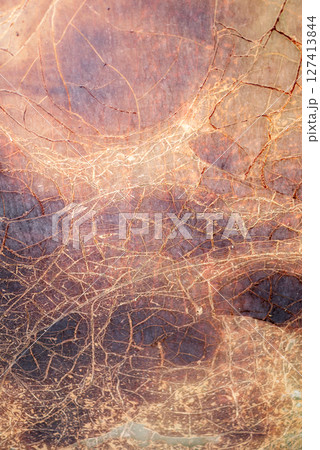 Abstract textured surface close-up view nature organic patterns earthy tones artistic exploration 127413844