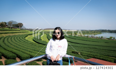 Travel to thailand scenic tea plantations nature landscape vibrant green hills 127414301
