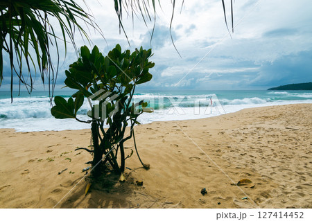 Serene beach scene tropical coast nature relaxing environment coastal view peaceful concept 127414452