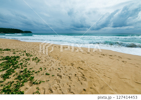 Waves crash sandy beach coastal landscape nature dramatic sky serene environment 127414453