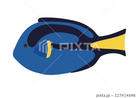 手描きの可愛いシンプルなナンヨウハギのイラスト 127414846