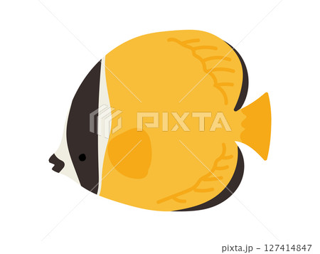 手描きの可愛いシンプルなチョウチョウウオのイラスト 127414847