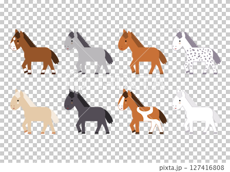 かわいい馬の品種のイラストセット 127416808
