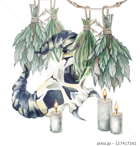 Watercolor composition with witchy things: suspended dried grass, lighted candles and a horned skull of a fantasy creature on a white background. An illustration for Halloween or scary fairy tales Watercolor composition with witchy things: suspended dried grass, lighted candles and a horned skull of a fantasy creature on a white background. An illustration for Halloween or scary fairy tales 127417161
