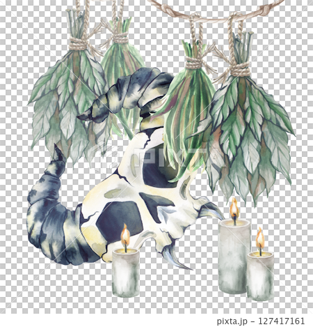 Watercolor composition with witchy things: suspended dried grass, lighted candles and a horned skull of a fantasy creature on a white background. An illustration for Halloween or scary fairy tales Watercolor composition with witchy things: suspended dried grass, lighted candles and a horned skull of a fantasy creature on a white background. An illustration for Halloween or scary fairy tales 127417161