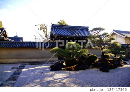 京都府 東寺 観智院・涅槃禄の庭「長者の庭」 京都市 南区 九条町 2022年2月 京都府 東寺 観智院・涅槃禄の庭「長者の庭」 京都市 南区 九条町 2022年2月 127417366