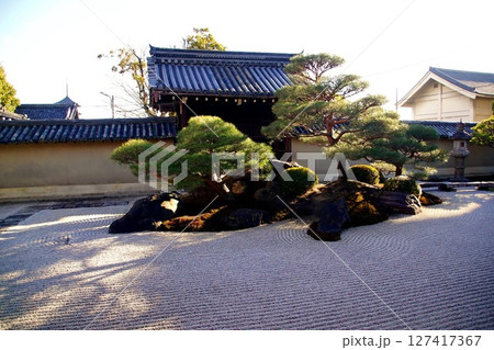 京都府　東寺 観智院・涅槃禄の庭「長者の庭」 京都市 南区 九条町　2022年2月 127417367
