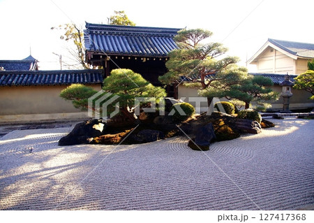 京都府 東寺 観智院・涅槃禄の庭「長者の庭」 京都市 南区 九条町 2022年2月 京都府 東寺 観智院・涅槃禄の庭「長者の庭」 京都市 南区 九条町 2022年2月 127417368