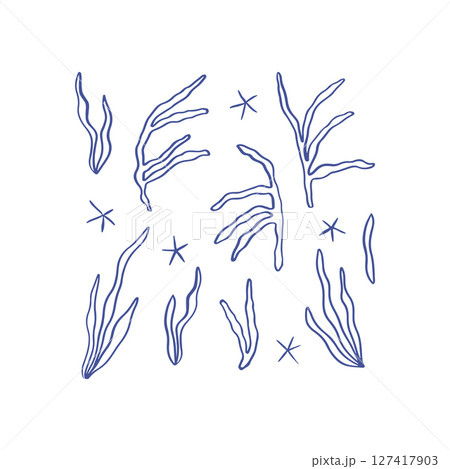 Hand drawn whimsical seaweed collection 127417903