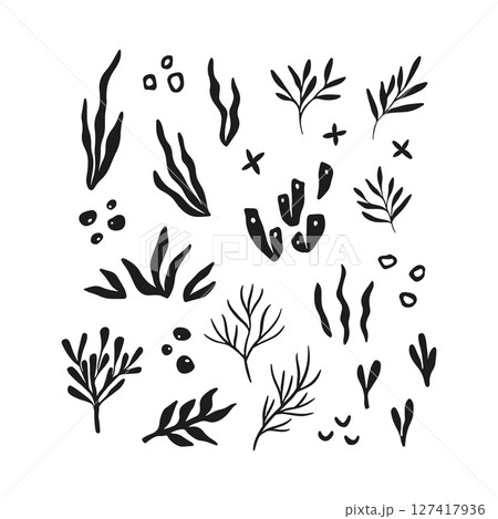 Whimsical corals and seaweed drawing Whimsical corals and seaweed drawing 127417936