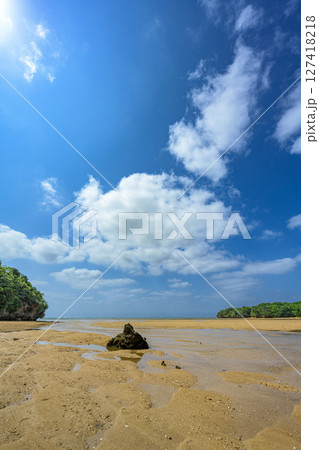 鮮やかな青空と緑が映える石垣島の静かな浜辺 干潮時 干潟 鮮やかな青空と緑が映える石垣島の静かな浜辺 干潮時 干潟 127418218