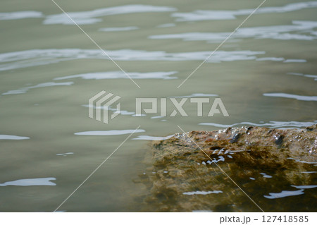 Water surface close up with a stone. Background abstracted wallpaper texture 127418585