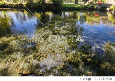 新緑の季節の南阿蘇村湧水地（明神池名水公園） 127418696