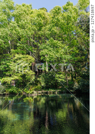 新緑の季節の南阿蘇村湧水地(明神池名水公園) 新緑の季節の南阿蘇村湧水地(明神池名水公園) 127418697