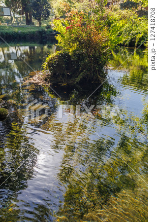 新緑の季節の南阿蘇村湧水地（明神池名水公園） 127418708
