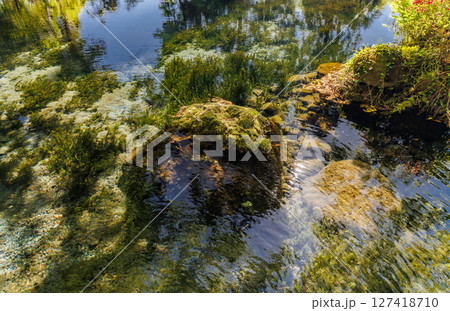 新緑の季節の南阿蘇村湧水地(明神池名水公園) 新緑の季節の南阿蘇村湧水地(明神池名水公園) 127418710