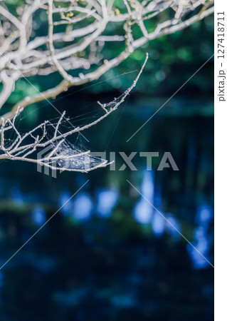新緑の季節の南阿蘇村湧水地（明神池名水公園） 127418711