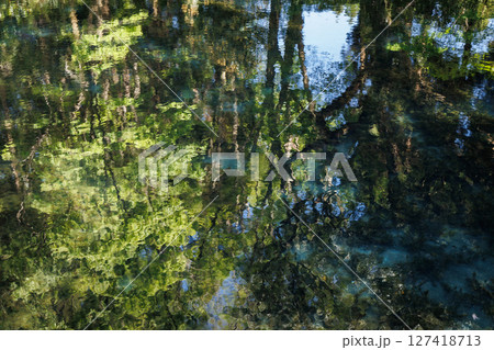 新緑の季節の南阿蘇村湧水地(明神池名水公園) 新緑の季節の南阿蘇村湧水地(明神池名水公園) 127418713