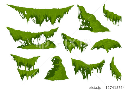 Creeping lichen. Hanging jungle moss, swamp green moss plants flat vector illustration set. Cartoon rainy forest flora on white 127418734
