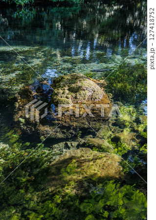 新緑の季節の南阿蘇村湧水地（明神池名水公園） 127418752