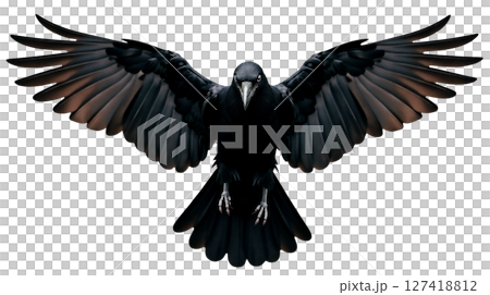 A carrion crow showcases its deep black plumage and glossy feather texture while flying with wings fully extended. Its flight posture enhances the elegance of the moment in nature. 127418812