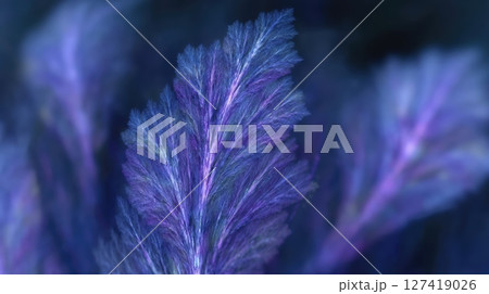 Fractal Plant With Vibrant Purple Hues Creates an Intricate Natural Pattern in a Striking Design 127419026