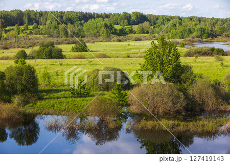Tranquil summer meadow featuring green fields, a reflective river water Tranquil summer meadow featuring green fields, a reflective river water 127419143