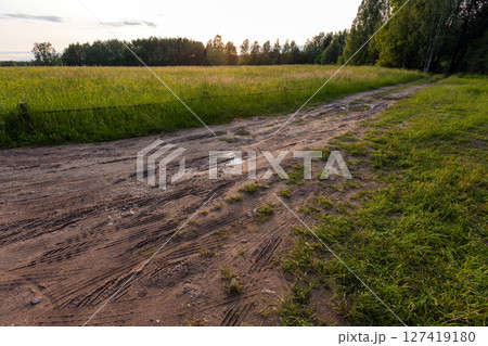 Sunlit dirt road winds through a peaceful countryside 127419180
