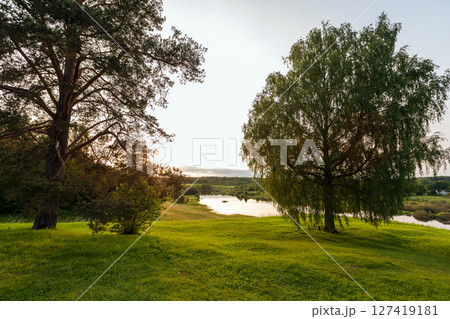 Serene countryside view featuring a grassy meadow and tall trees Serene countryside view featuring a grassy meadow and tall trees 127419181