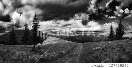 A narrow path winds through a meadow of golden grass 127419222