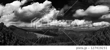 The valley's surrounding deep forest creates a feeling of isolation and natural absorption. 127419231