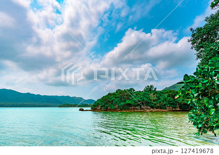 石垣島の自然に包まれた海と緑の静かな風景　自然美に癒される石垣島 127419678