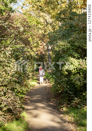 A dirt path in a forest A dirt path in a forest 127419908